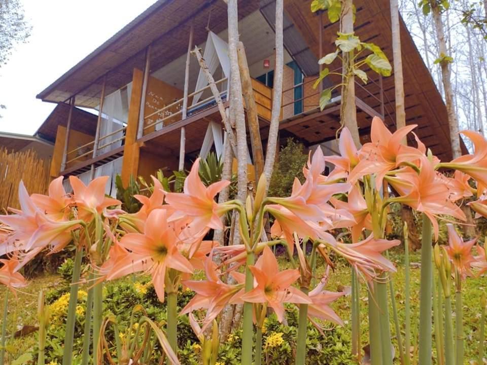 Nan De Panna Resort&Spa Exterior foto